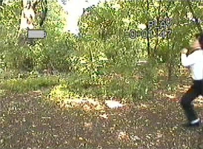 Image gallery marquee